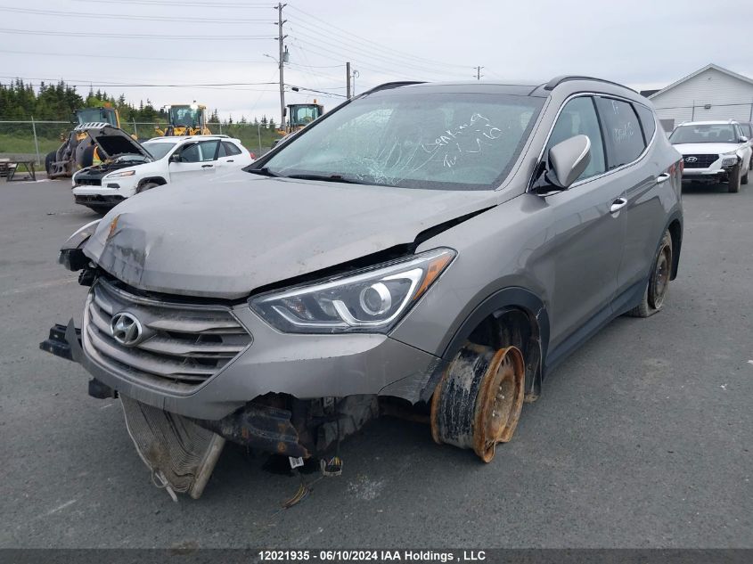 2017 Hyundai Santa Fe Sport VIN: 5XYZUDLB3HG459318 Lot: 12021935