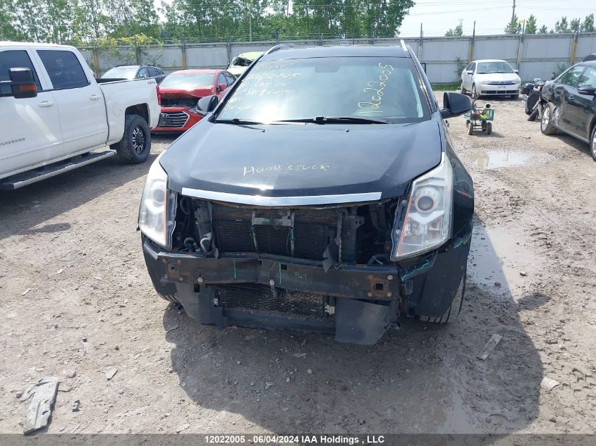 2010 Cadillac Srx V6 4Dr 2Wd VIN: 3GYFNAEY7AS509507 Lot: 12022005