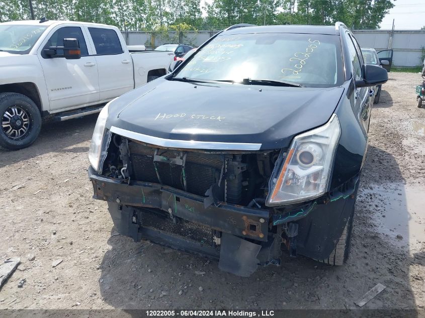 2010 Cadillac Srx V6 4Dr 2Wd VIN: 3GYFNAEY7AS509507 Lot: 12022005