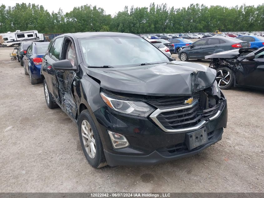 2018 Chevrolet Equinox Ls VIN: 2GNAXHEV0J6169339 Lot: 12022042
