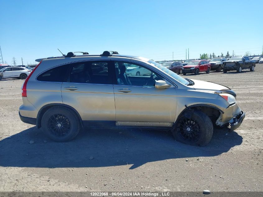 2009 Honda Cr-V Exl VIN: 5J6RE48749L800954 Lot: 12022068