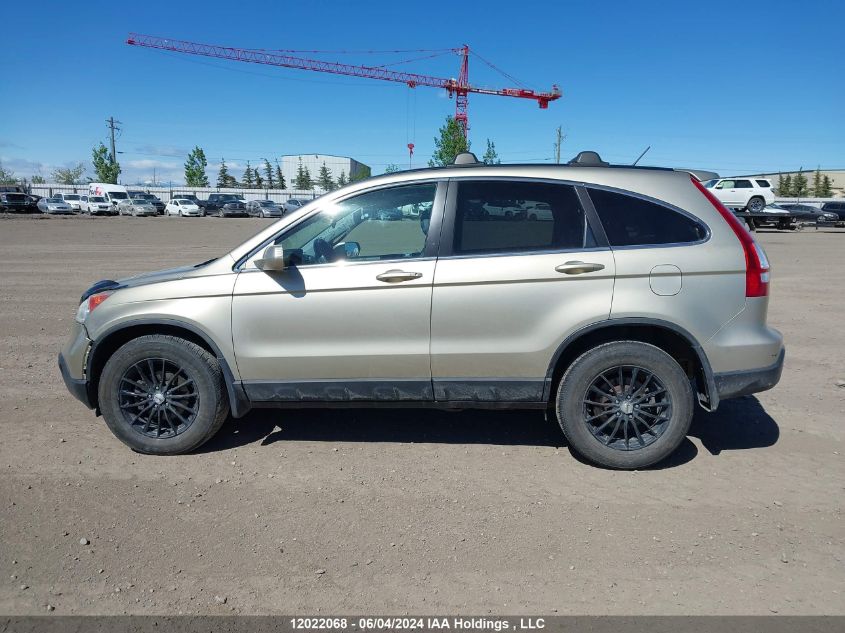 2009 Honda Cr-V Exl VIN: 5J6RE48749L800954 Lot: 12022068