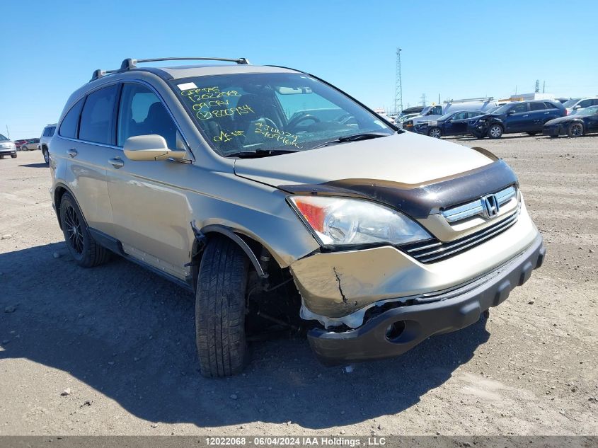 2009 Honda Cr-V Exl VIN: 5J6RE48749L800954 Lot: 12022068