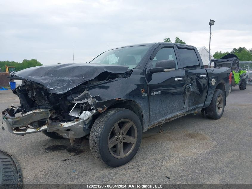 2010 Dodge Ram 1500 VIN: 1D7RV1CT7AS254756 Lot: 12022128