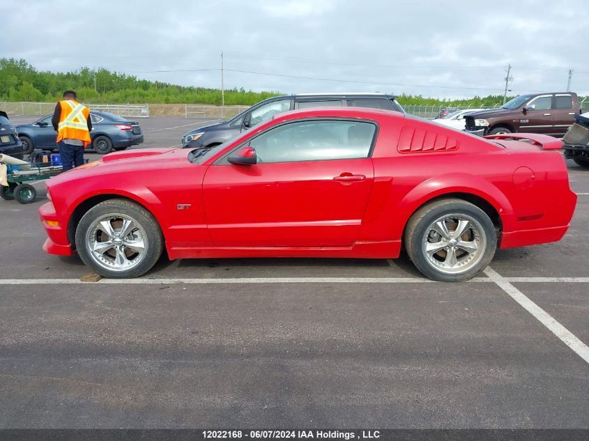 2007 Ford Mustang VIN: 1ZVHT82H675313074 Lot: 12022168