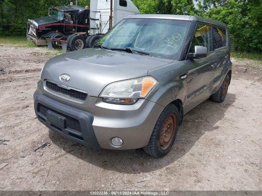 2011 Kia Soul VIN: KNDJT2A25B7320481 Lot: 12022236