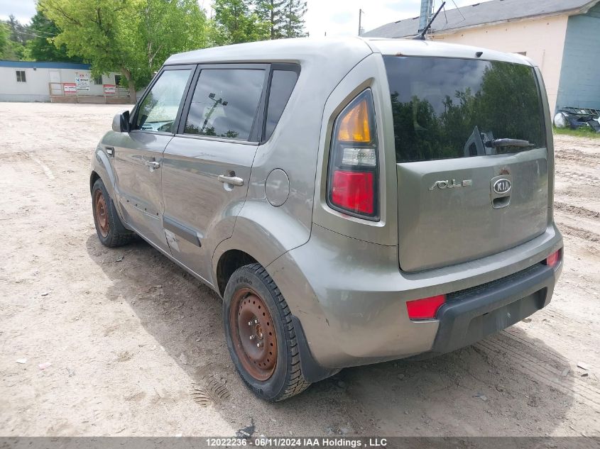 2011 Kia Soul VIN: KNDJT2A25B7320481 Lot: 12022236