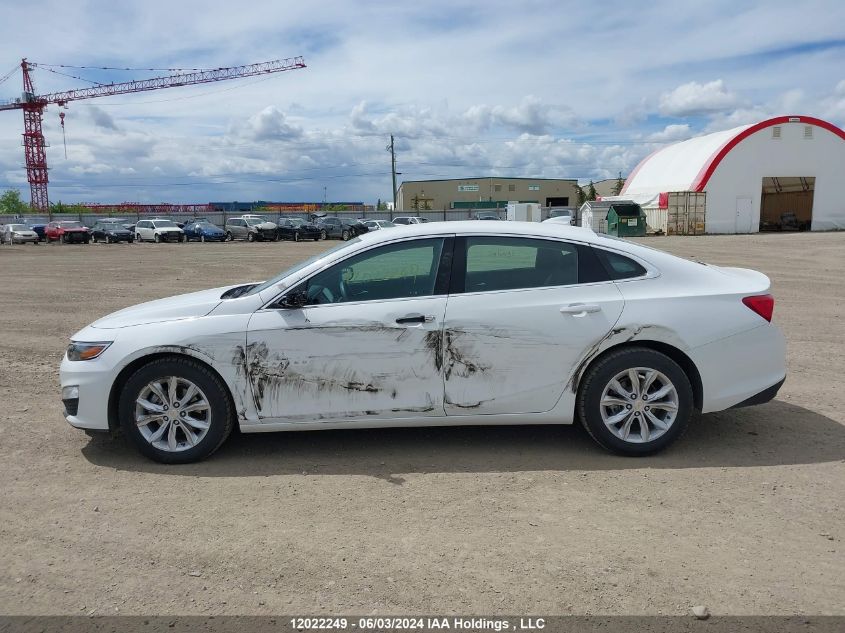 2023 Chevrolet Malibu VIN: 1G1ZD5ST6PF241674 Lot: 12022249