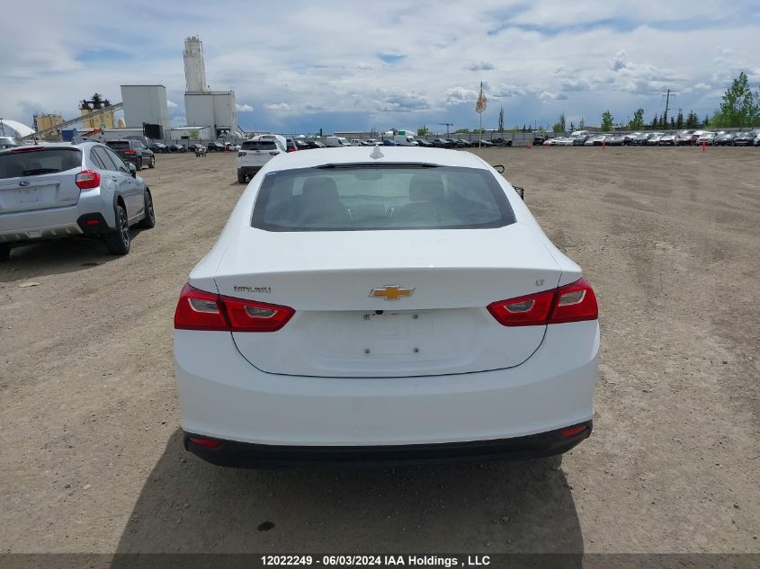 2023 Chevrolet Malibu VIN: 1G1ZD5ST6PF241674 Lot: 12022249