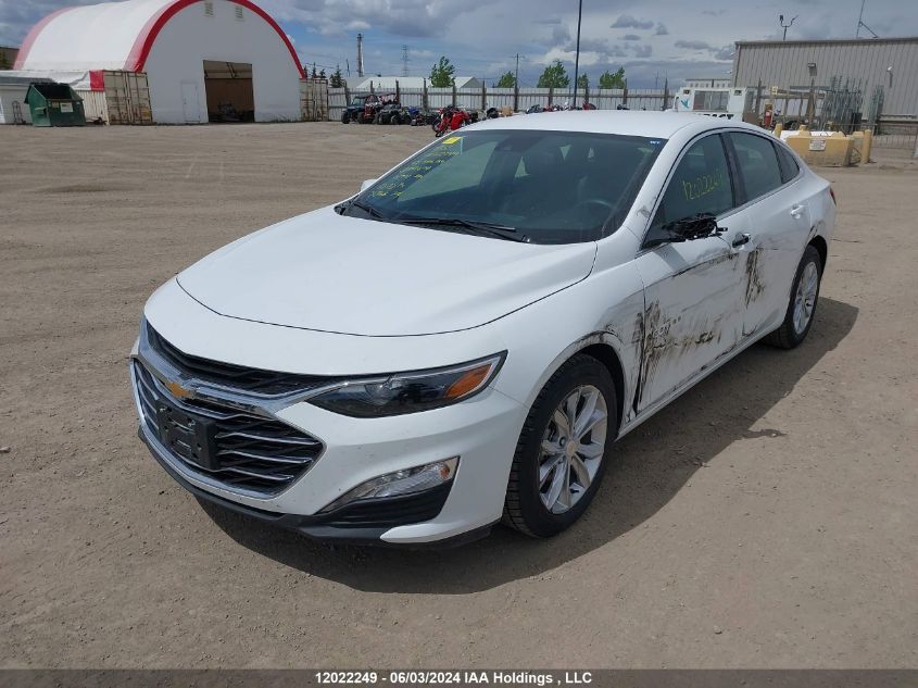 2023 Chevrolet Malibu VIN: 1G1ZD5ST6PF241674 Lot: 12022249