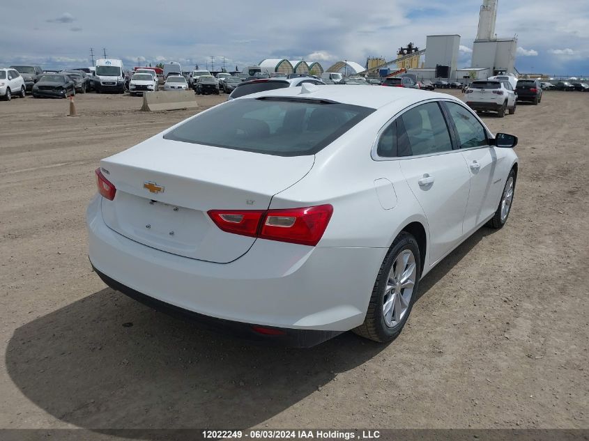 2023 Chevrolet Malibu VIN: 1G1ZD5ST6PF241674 Lot: 12022249