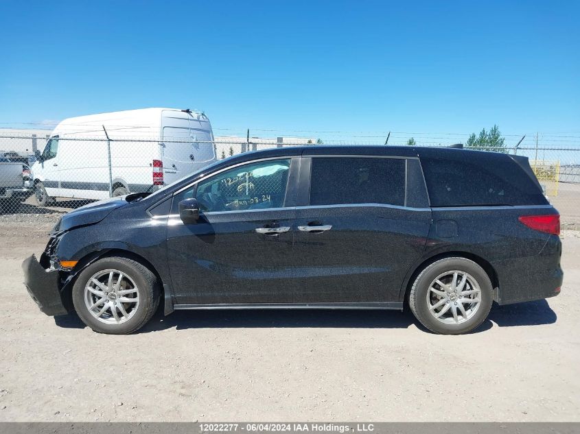 2019 Honda Odyssey VIN: 5FNRL6H45KB512026 Lot: 12022277