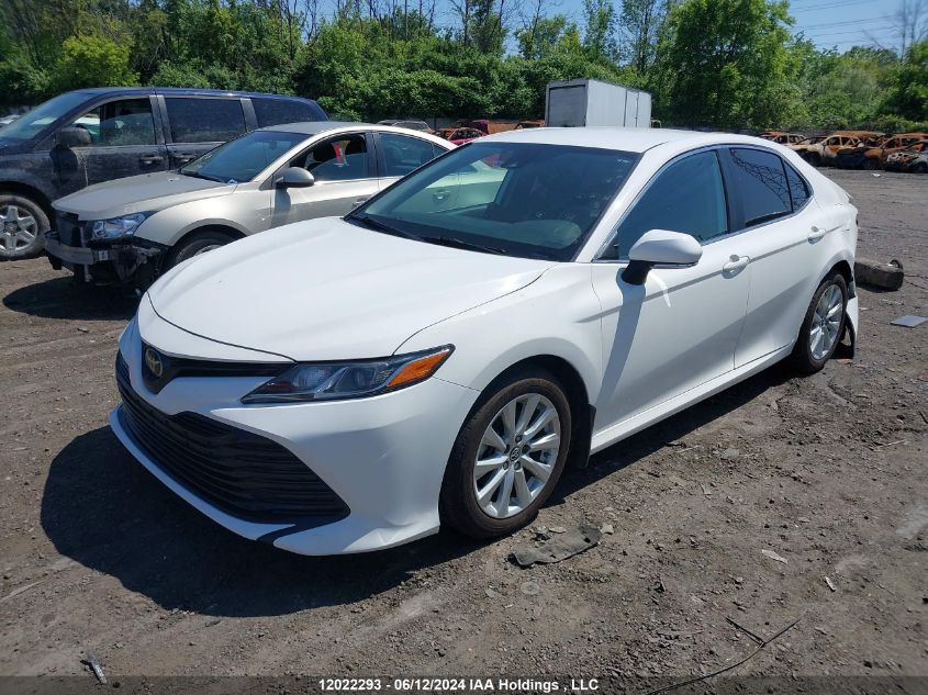 2019 Toyota Camry L/Le/Xle/Se/Xse VIN: 4T1B11HK5KU780358 Lot: 12022293