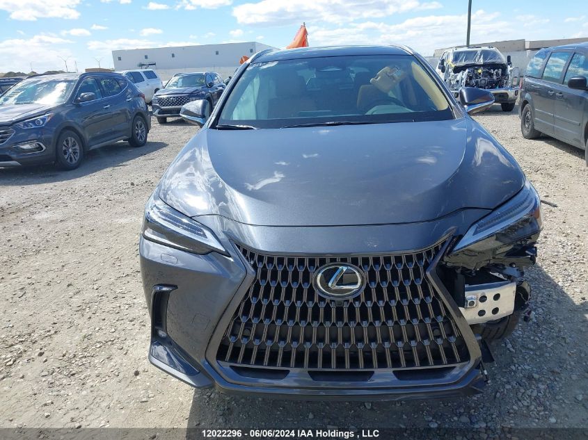 2024 Lexus Nx 350H VIN: 2T2GKCEZXRC028016 Lot: 12022296