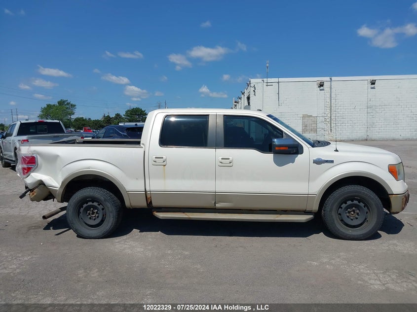 2009 Ford F-150 VIN: 1FTPW14V69KB15146 Lot: 12022329