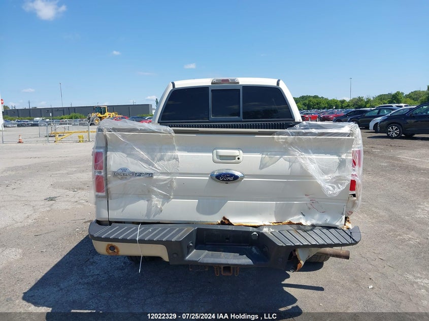 2009 Ford F-150 VIN: 1FTPW14V69KB15146 Lot: 12022329