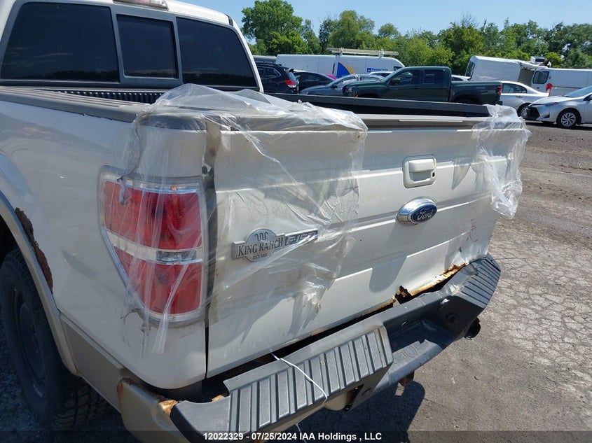 2009 Ford F-150 VIN: 1FTPW14V69KB15146 Lot: 12022329