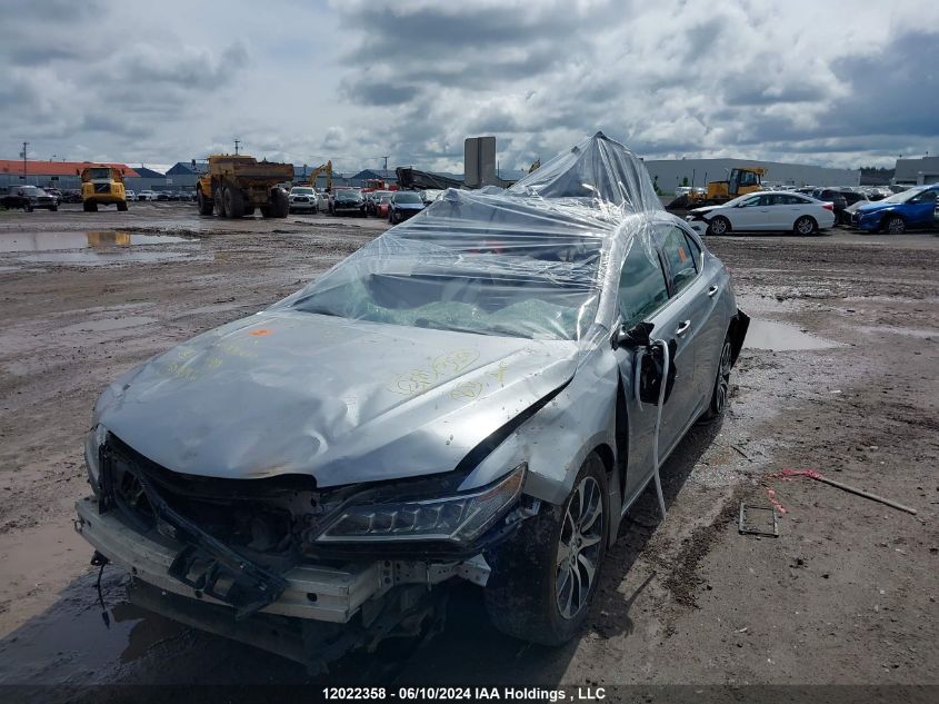 2017 Acura Tlx Tech VIN: 19UUB1F59HA800503 Lot: 12022358