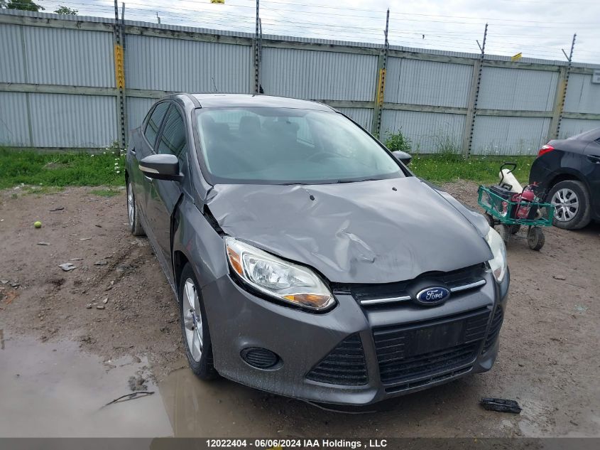 2013 Ford Focus VIN: 1FADP3F27DL101666 Lot: 12022404