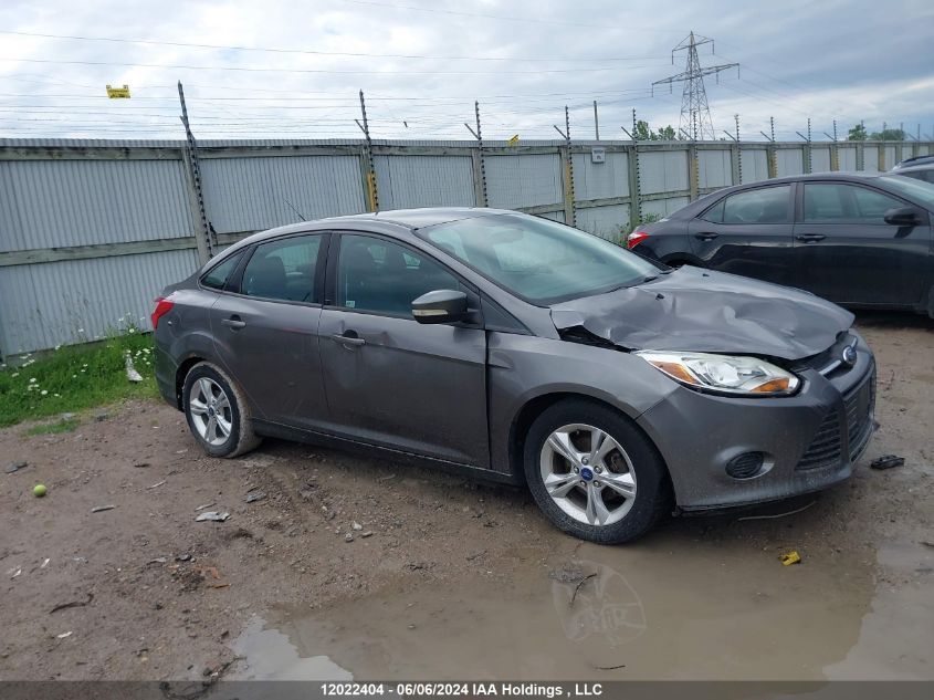 2013 Ford Focus VIN: 1FADP3F27DL101666 Lot: 12022404