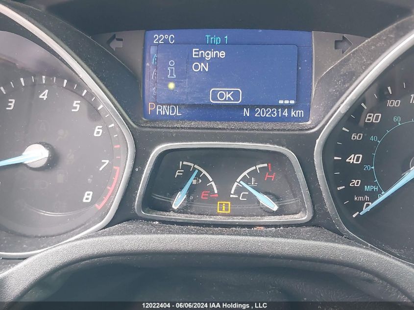 2013 Ford Focus VIN: 1FADP3F27DL101666 Lot: 12022404