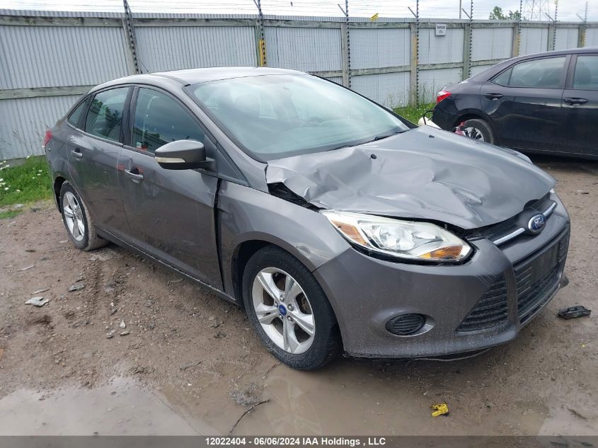 2013 Ford Focus VIN: 1FADP3F27DL101666 Lot: 12022404