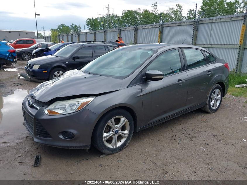 2013 Ford Focus VIN: 1FADP3F27DL101666 Lot: 12022404