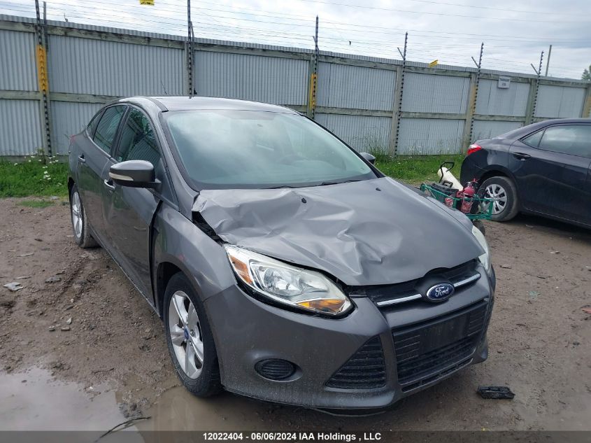 2013 Ford Focus VIN: 1FADP3F27DL101666 Lot: 12022404