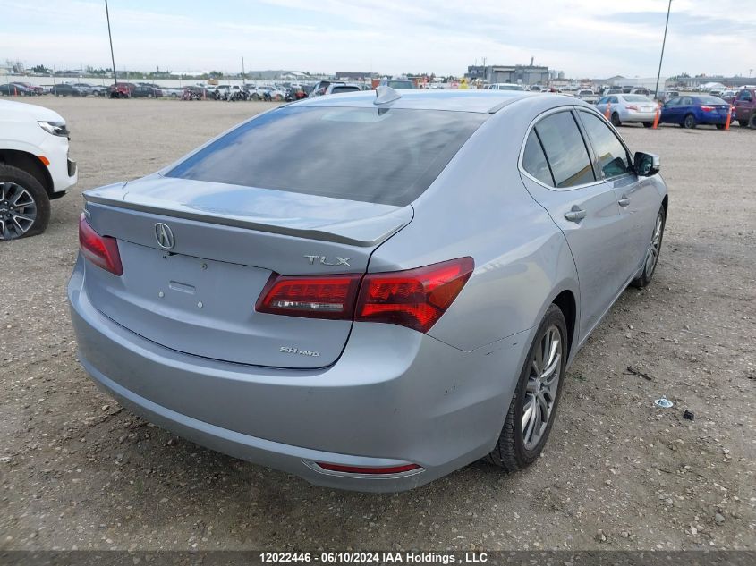 2015 Acura Tlx VIN: 19UUB3F53FA801364 Lot: 12022446