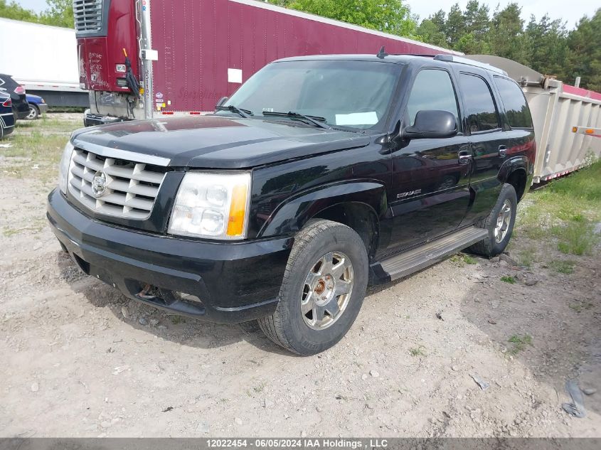 2006 Cadillac Escalade Luxury VIN: 1GYEK63N66R124850 Lot: 12022454