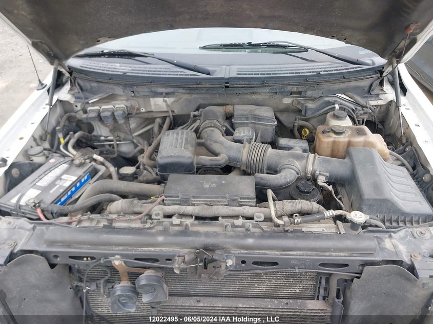 2010 Ford F150 Supercrew VIN: 1FTFW1EV7AFC73812 Lot: 12022495