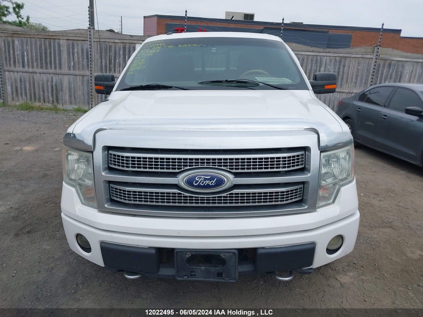 2010 Ford F150 Supercrew VIN: 1FTFW1EV7AFC73812 Lot: 12022495