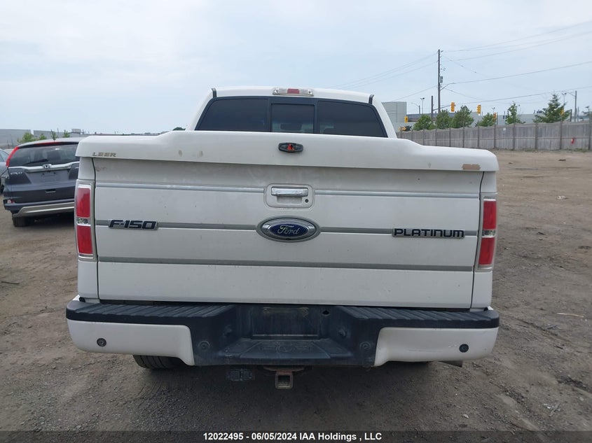 2010 Ford F150 Supercrew VIN: 1FTFW1EV7AFC73812 Lot: 12022495