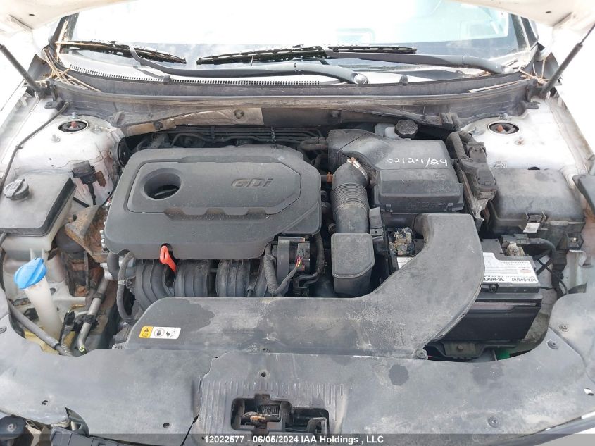 2016 Hyundai Sonata Se VIN: 5NPE24AF1GH293009 Lot: 12022577