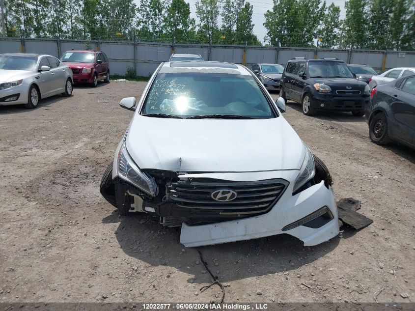 2016 Hyundai Sonata Se VIN: 5NPE24AF1GH293009 Lot: 12022577