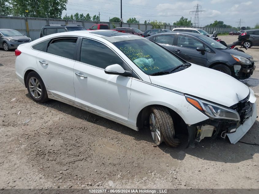 2016 Hyundai Sonata Se VIN: 5NPE24AF1GH293009 Lot: 12022577