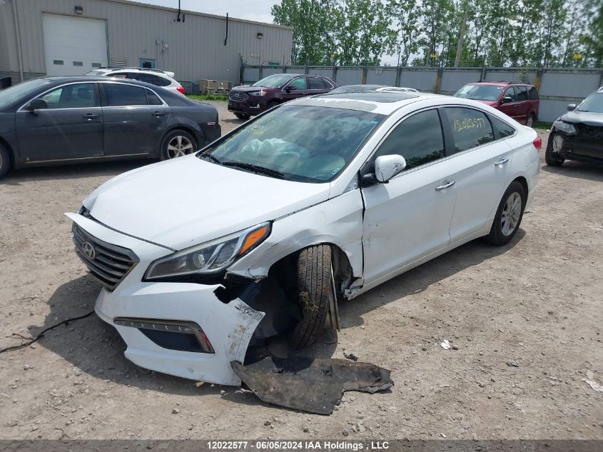 2016 Hyundai Sonata Se VIN: 5NPE24AF1GH293009 Lot: 12022577