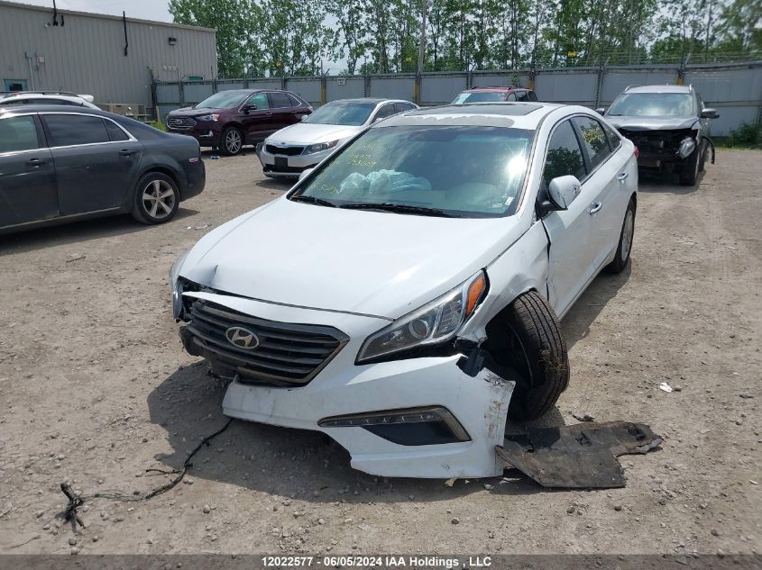 2016 Hyundai Sonata Se VIN: 5NPE24AF1GH293009 Lot: 12022577