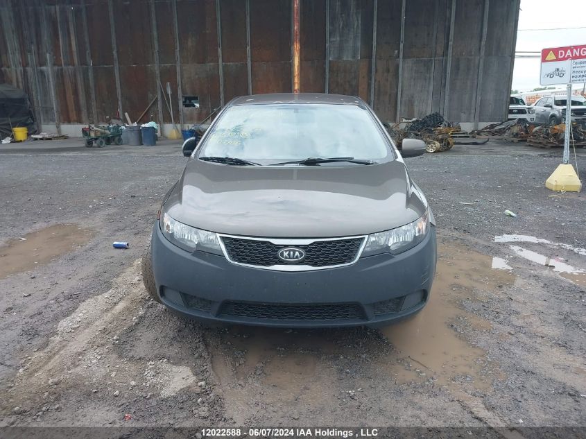 2013 Kia Forte VIN: KNAFU4A20D5725237 Lot: 12022588