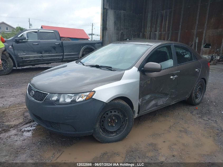 2013 Kia Forte VIN: KNAFU4A20D5725237 Lot: 12022588