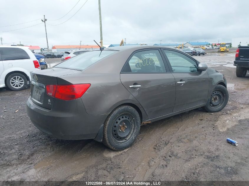 2013 Kia Forte VIN: KNAFU4A20D5725237 Lot: 12022588