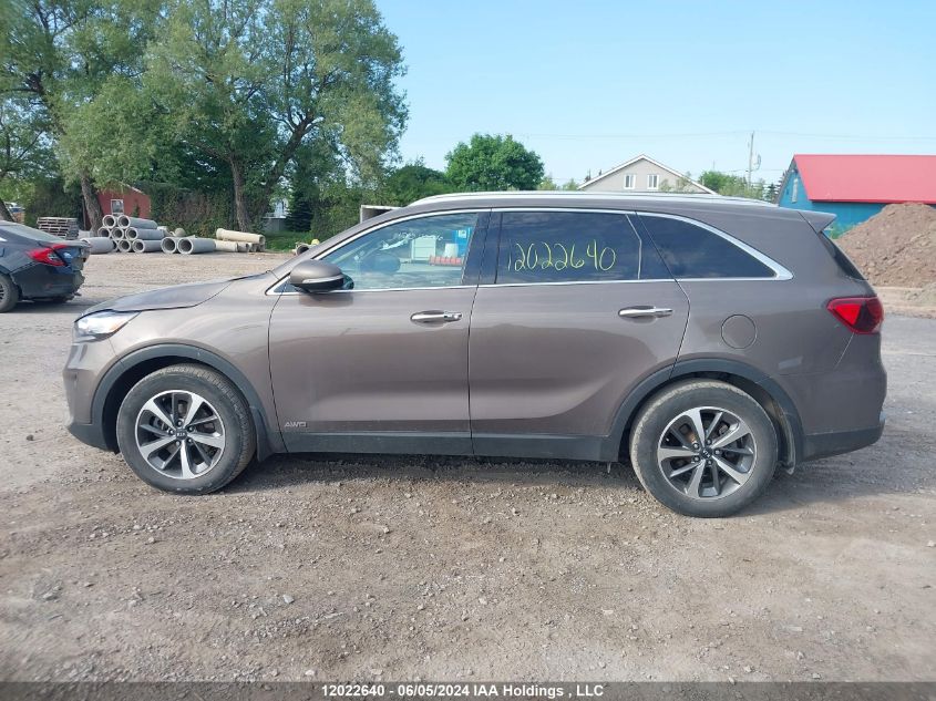 2019 Kia Sorento VIN: 5XYPHDA55KG587625 Lot: 12022640