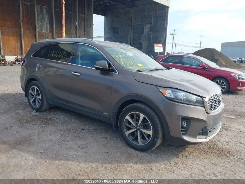 2019 Kia Sorento VIN: 5XYPHDA55KG587625 Lot: 12022640