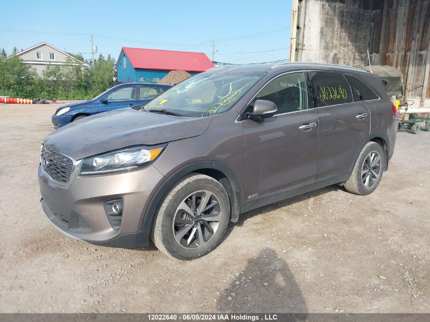 2019 Kia Sorento VIN: 5XYPHDA55KG587625 Lot: 12022640