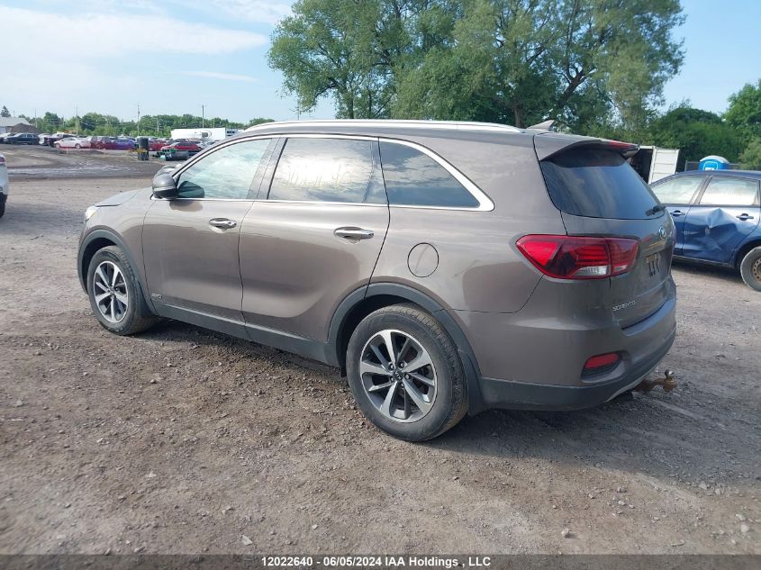 2019 Kia Sorento VIN: 5XYPHDA55KG587625 Lot: 12022640