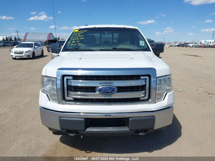 2013 Ford F150 Super Cab VIN: 1FTFX1EF7DFC07965 Lot: 12022647