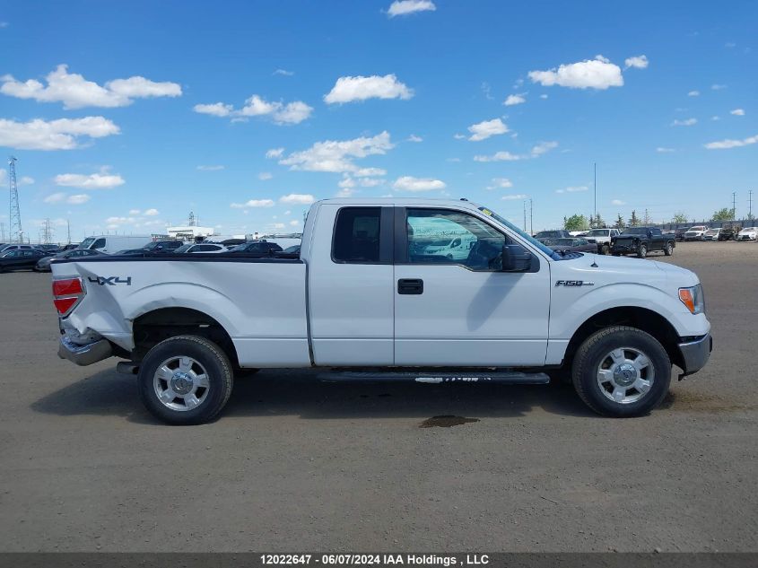 2013 Ford F150 Super Cab VIN: 1FTFX1EF7DFC07965 Lot: 12022647