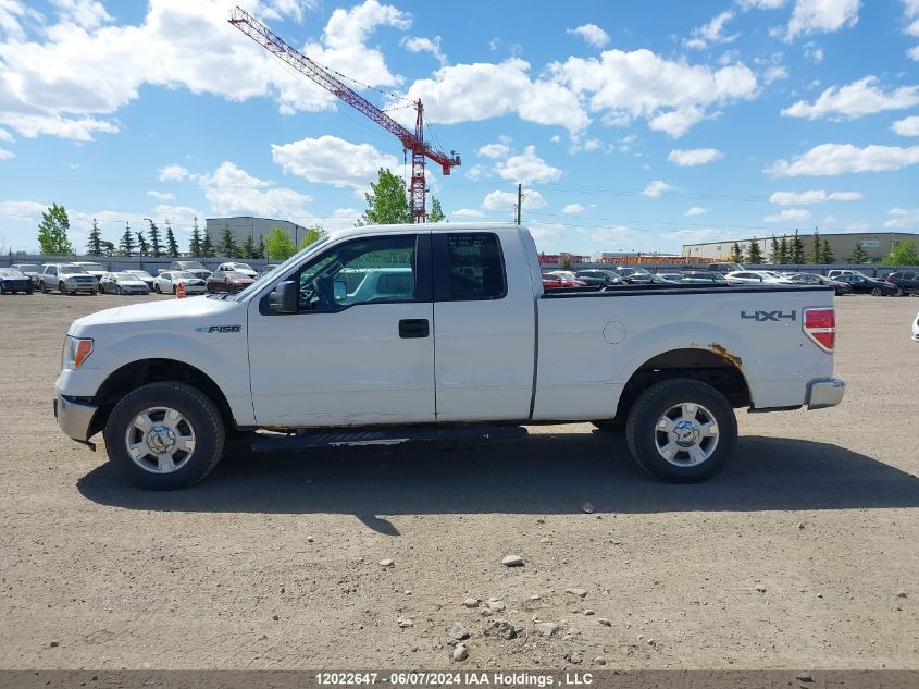 2013 Ford F150 Super Cab VIN: 1FTFX1EF7DFC07965 Lot: 12022647