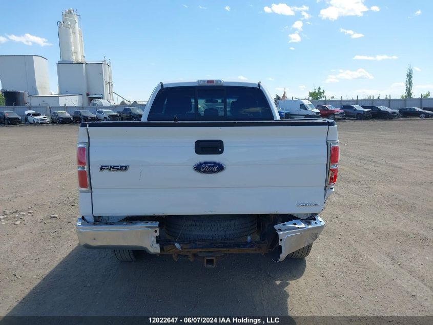 2013 Ford F150 Super Cab VIN: 1FTFX1EF7DFC07965 Lot: 12022647