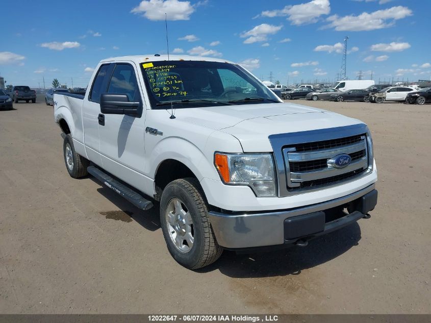 2013 Ford F150 Super Cab VIN: 1FTFX1EF7DFC07965 Lot: 12022647